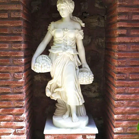 Sultanahmet Palace מלון 4*